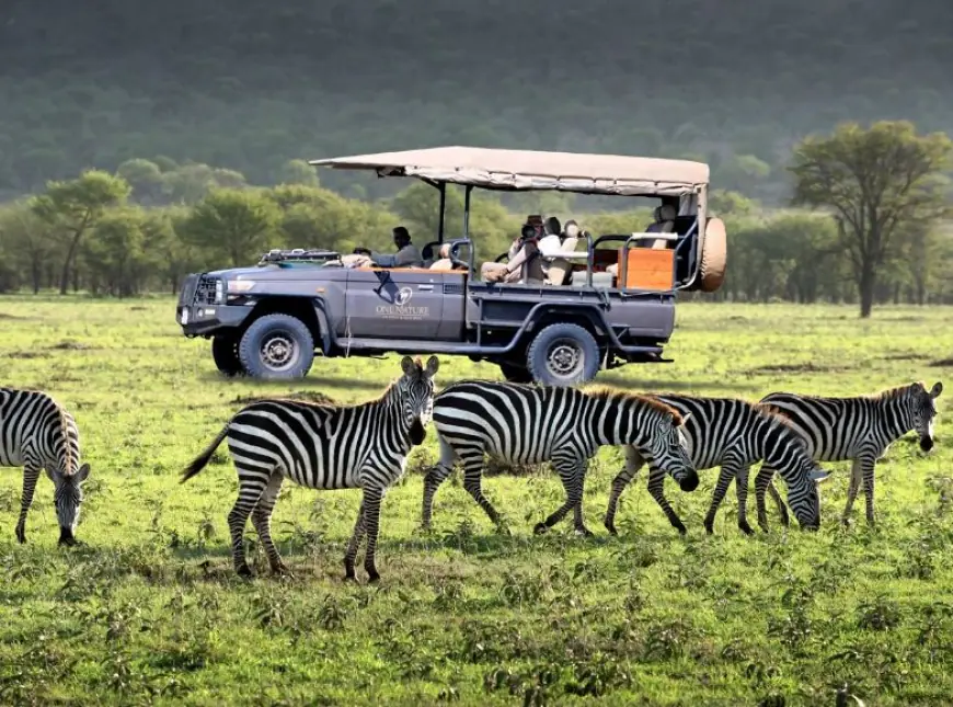 Beyond the Serengeti: Why Tanzania must diversify into cultural, urban tourism