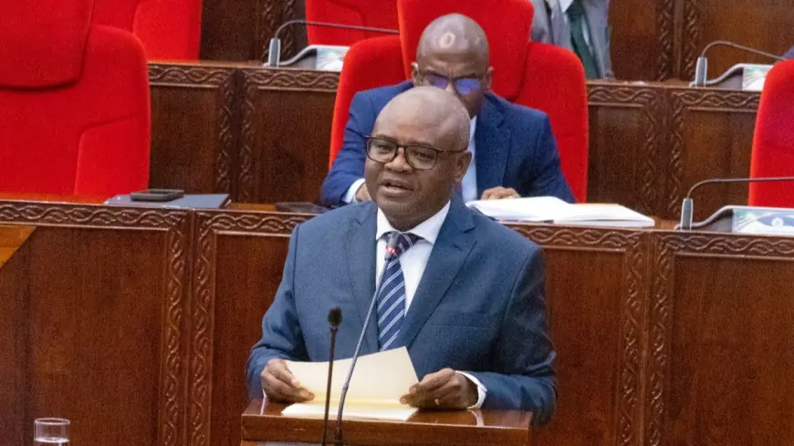 Tanzania targets 6.3pc economic growth in 2026 as development spending rises