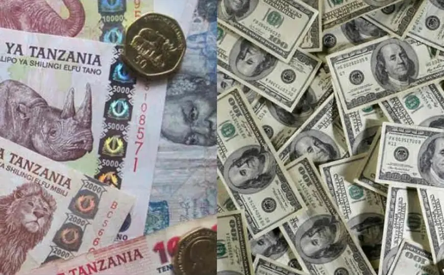 Why the shilling is under pressure despite strong economic growth