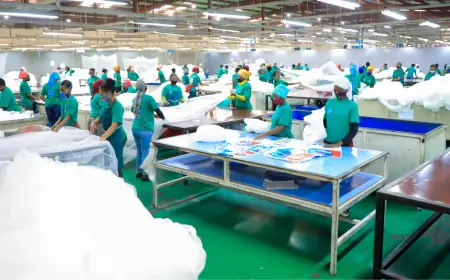 Tanzania earns $3bn more from exports as manufactured goods top $2bn