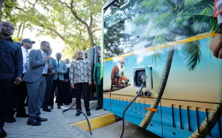 Zanzibar launches electric bus services as Tanzania advances nationwide e-mobility drive