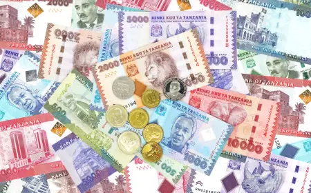 What happens to your government bonds when you die? Bank of Tanzania sets new rules