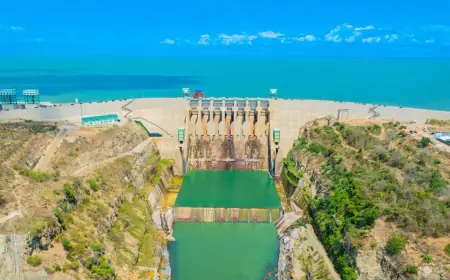 Tanzania eyes regional energy hub status after launch of mega hydropower plant
