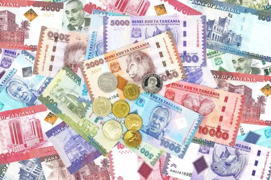 What happens to your government bonds when you die? Bank of Tanzania sets new rules