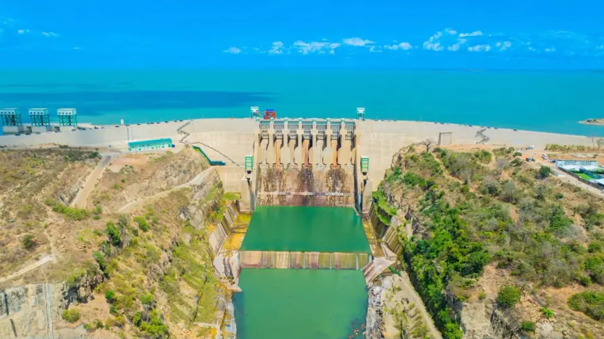 Tanzania eyes regional energy hub status after launch of mega hydropower plant