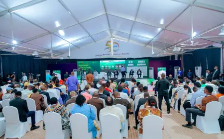 Stakeholders back Africa’s drive to unlock agricultural potential