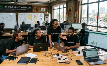 African start-up funding passes $2bn mark following strong summer surge