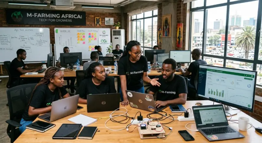 African start-up funding passes $2bn mark following strong summer surge