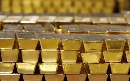 Bank of Tanzania's gold purchases surge to 35 tonnes in two years