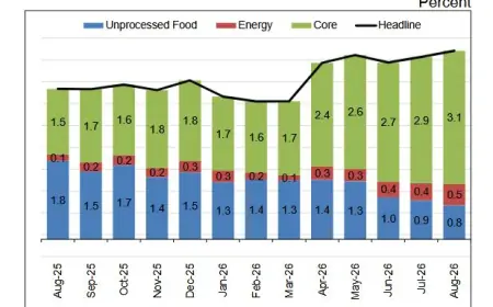 Tanzania’s inflation enters a new phase with services emerging as a key driver