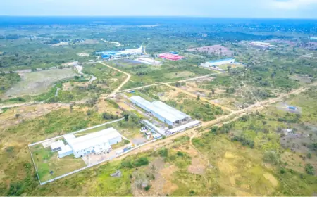Govt acquires 887 hectares for Bagamoyo port project