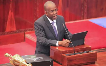 Tanzania close to finalising $42 billion LNG deal, finance minister says