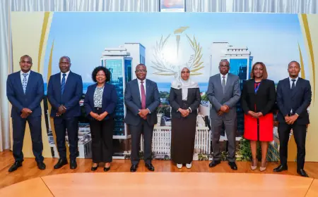 Malawian delegation turns to Tanzania for insights on microfinance supervisory