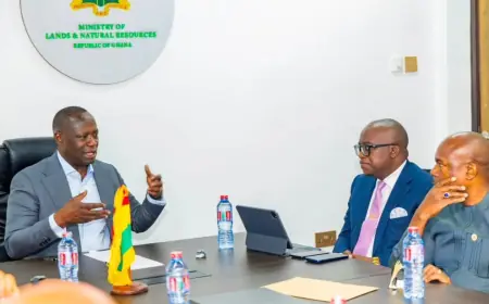Tanzania, Ghana seek closer ties to empower small-scale miners