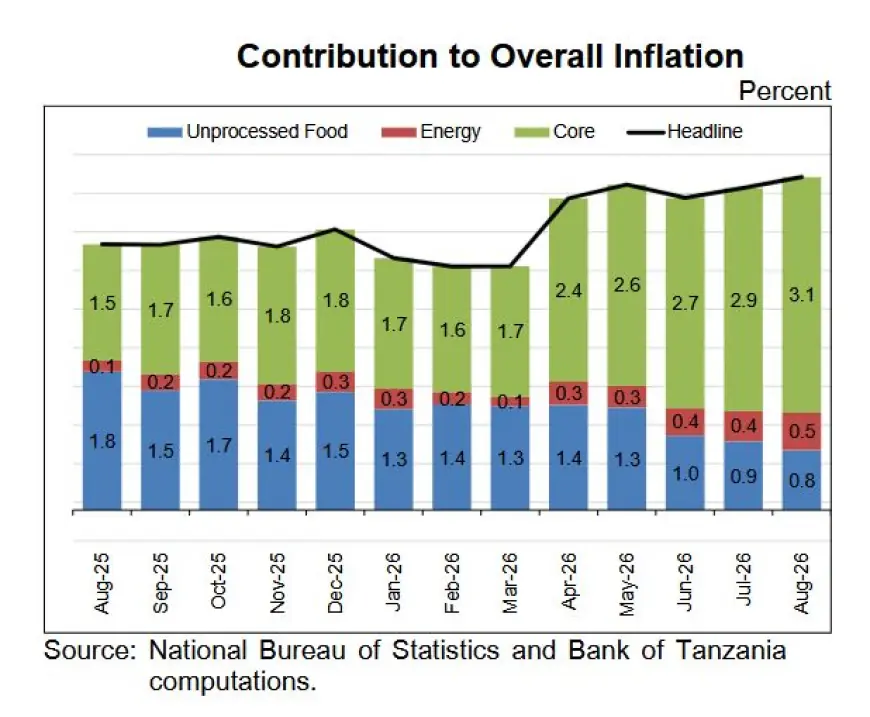 Tanzania’s inflation enters a new phase with services emerging as a key driver