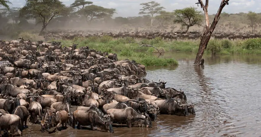 Tanzania's tourism boom faces a new test